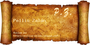 Pellis Zalán névjegykártya